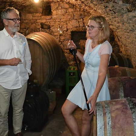 Rodinne Vinarstvi Mikulenkovi Velke Zernoseky Εξωτερικό φωτογραφία